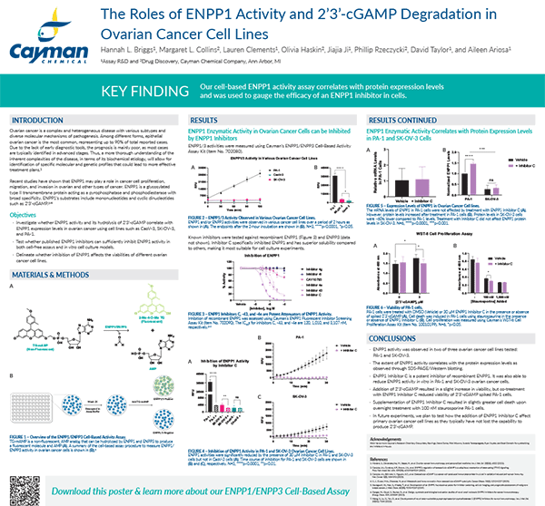 The Roles of ENPP1 Activity and 2’3’-cGAMP Degradation in Ovarian Cancer Cell Lines
